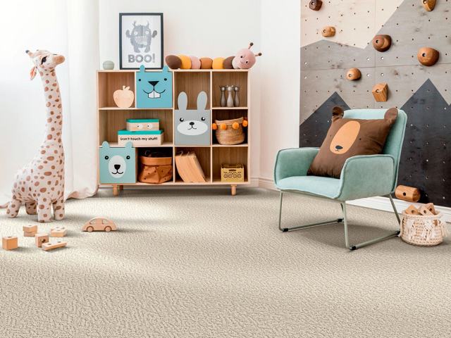 Pet Perfect & Pet Perfect+ Carpet carpet by Shaw Floors